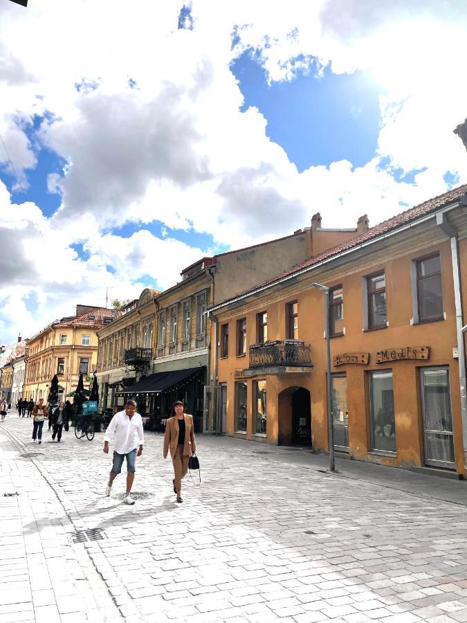 Stylish Apartment In The Heart Of Kaunas Old Town المظهر الخارجي الصورة
